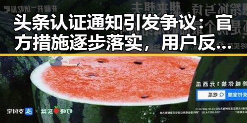 玩偶姐姐 - 最新娱乐爆料及黑料网首页