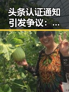 头条认证通知引发争议：官方措施逐步落实，用户反响平稳